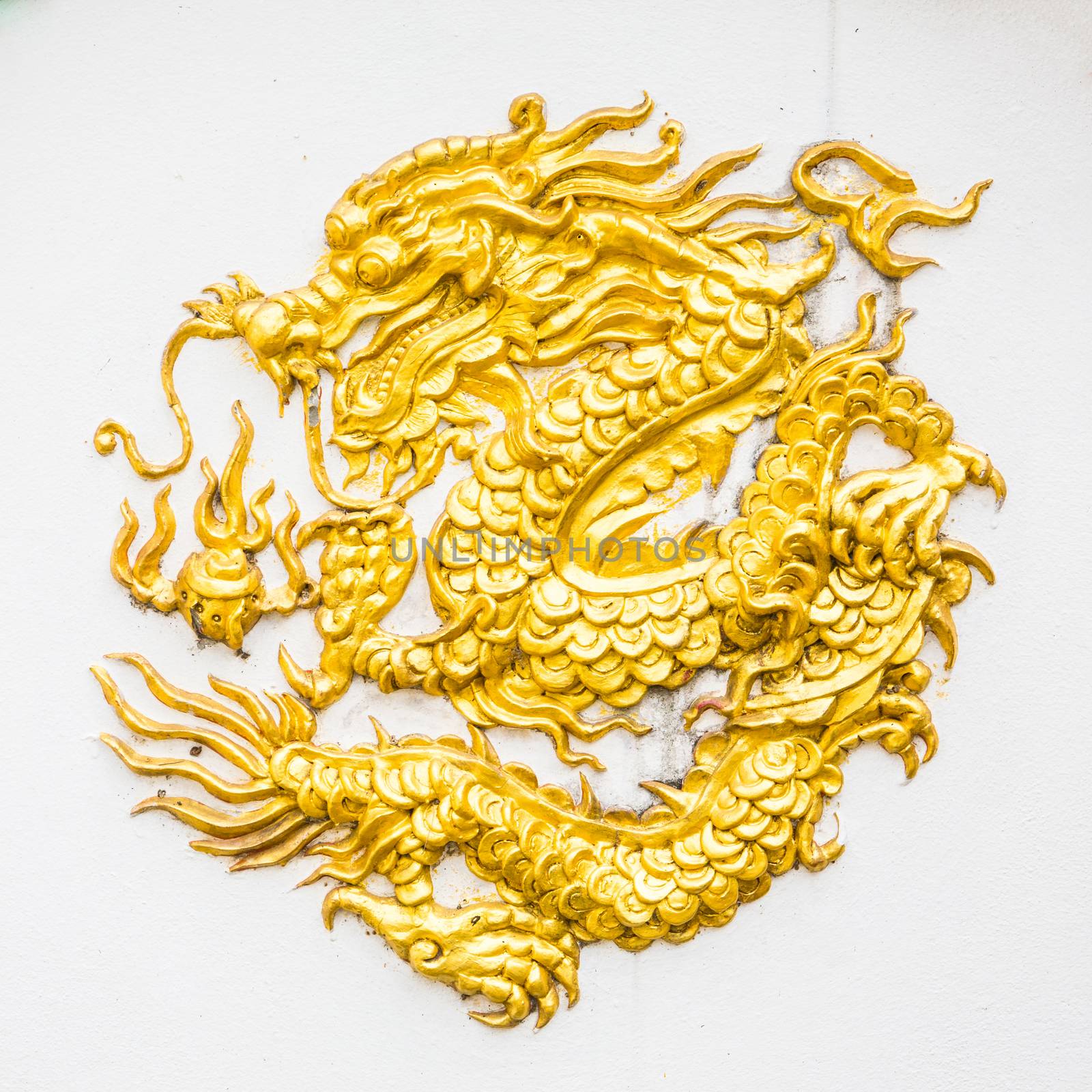 Gold dragon on white background