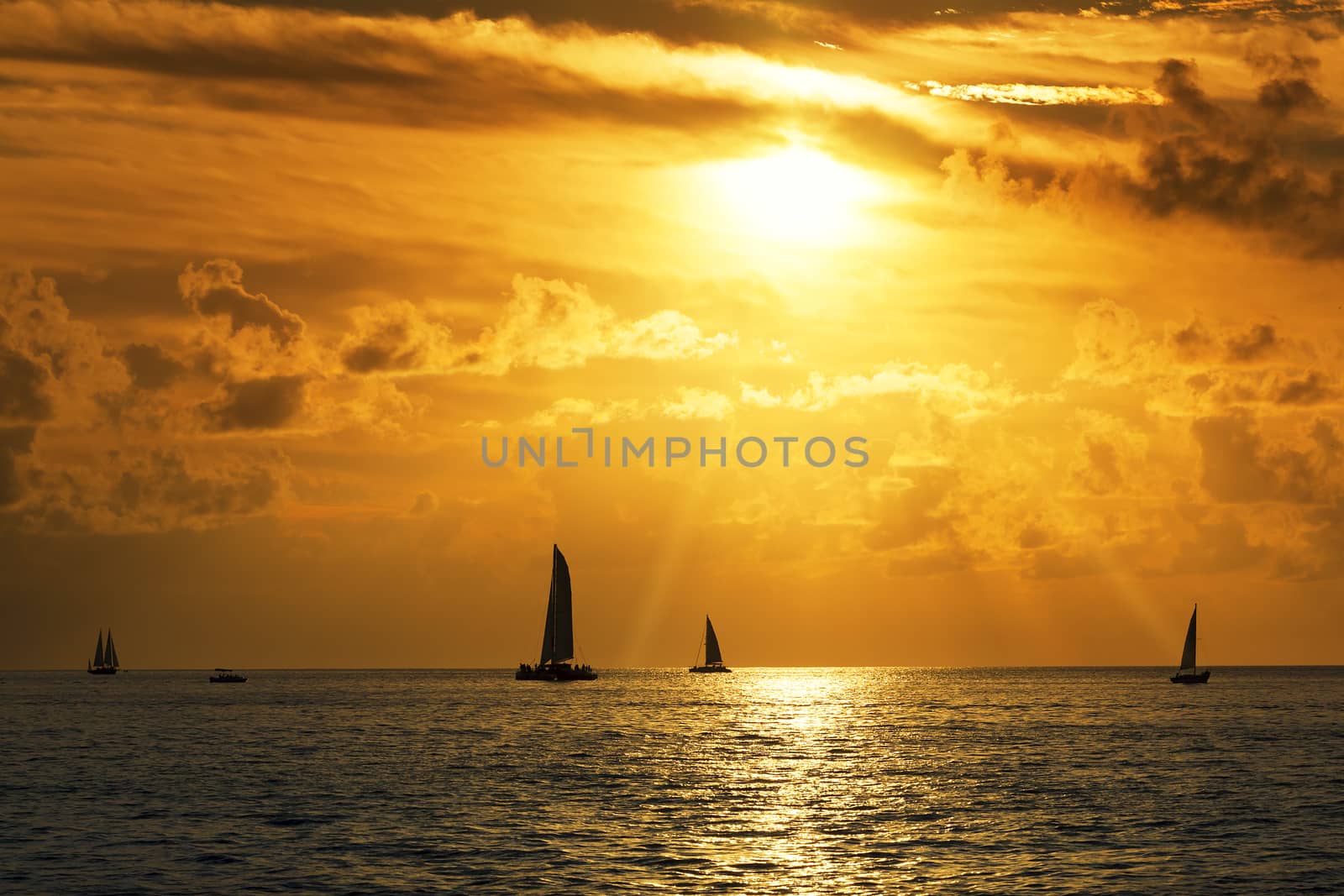 View of Sailboats in the sea at sunset 