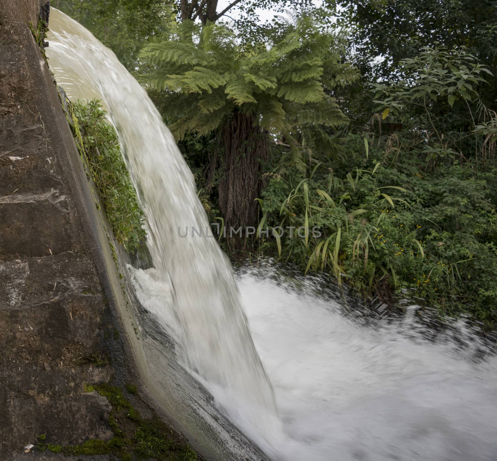lone creek falls waterfall near Sabie south Africa in hazyview area