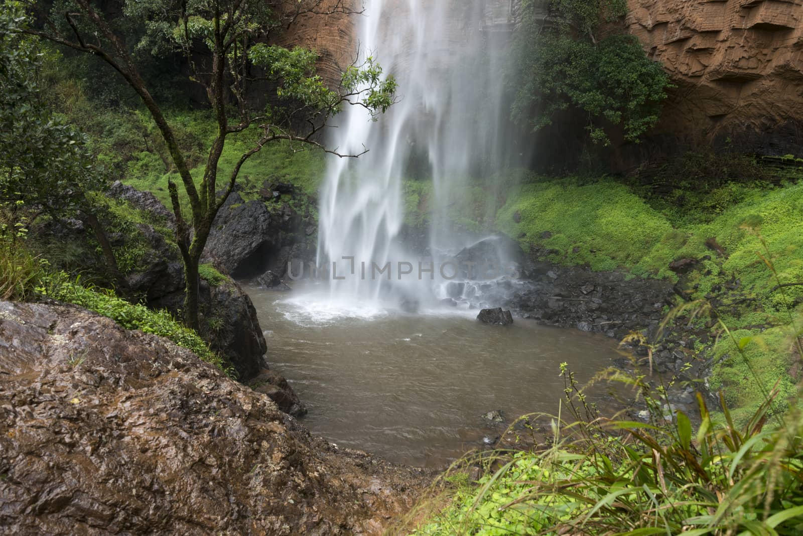 lone creek falls waterfall near Sabie south Africa in hazyview area