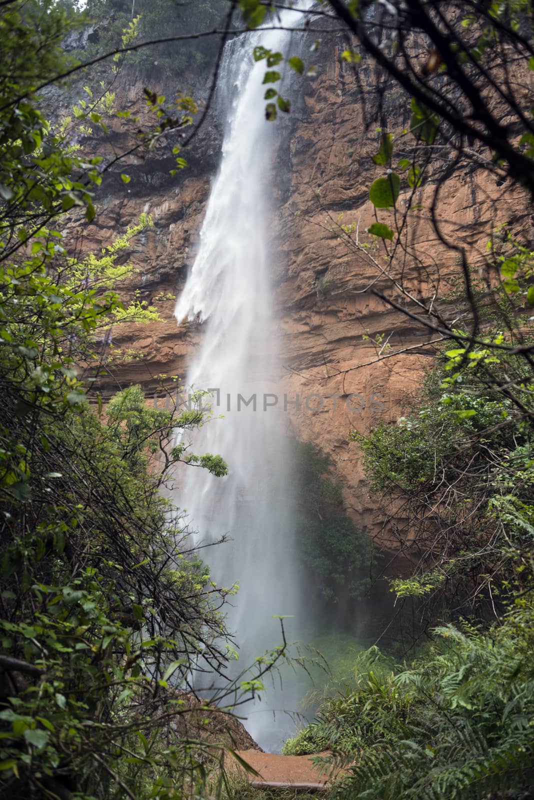 lone creek falls waterfall near Sabie south Africa in hazyview area