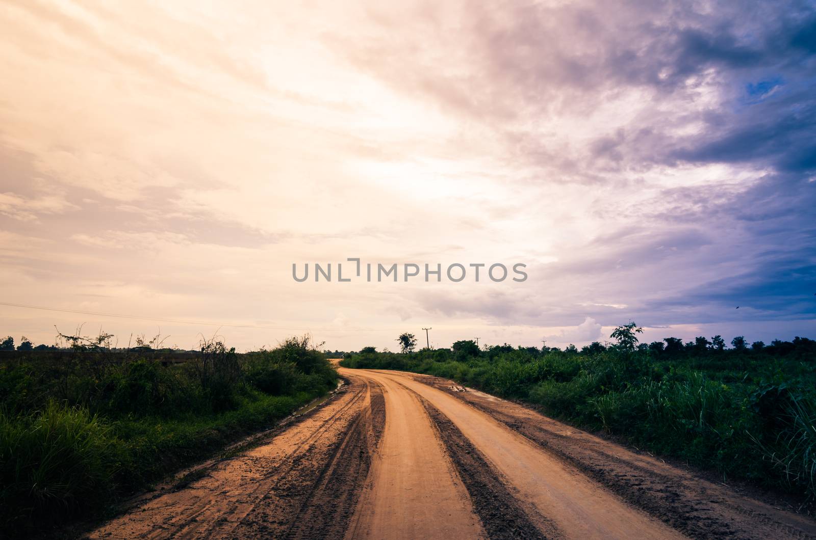 Soil road and grass meadow in  countryside view nature