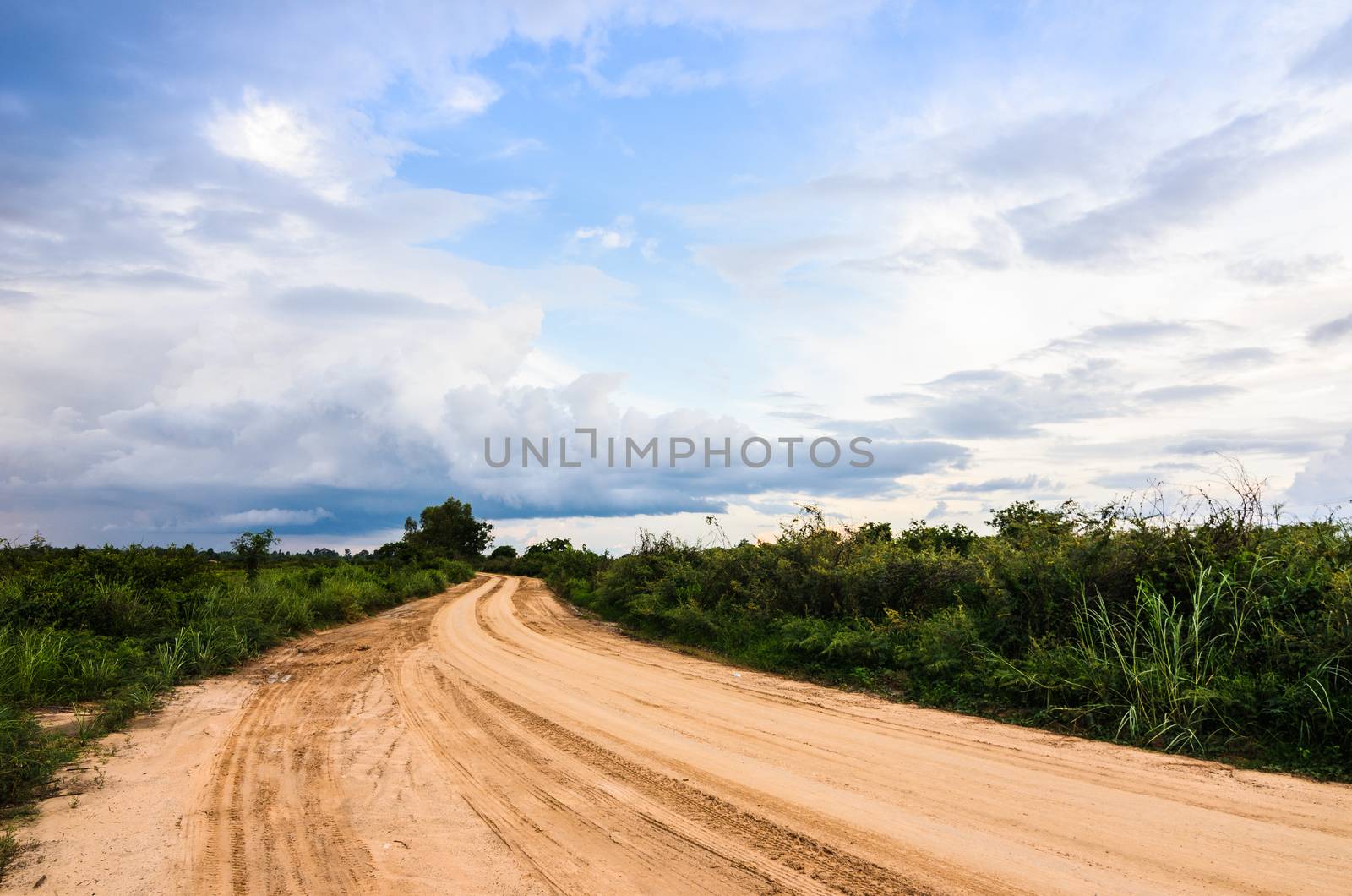Soil road and grass meadow in  countryside view nature