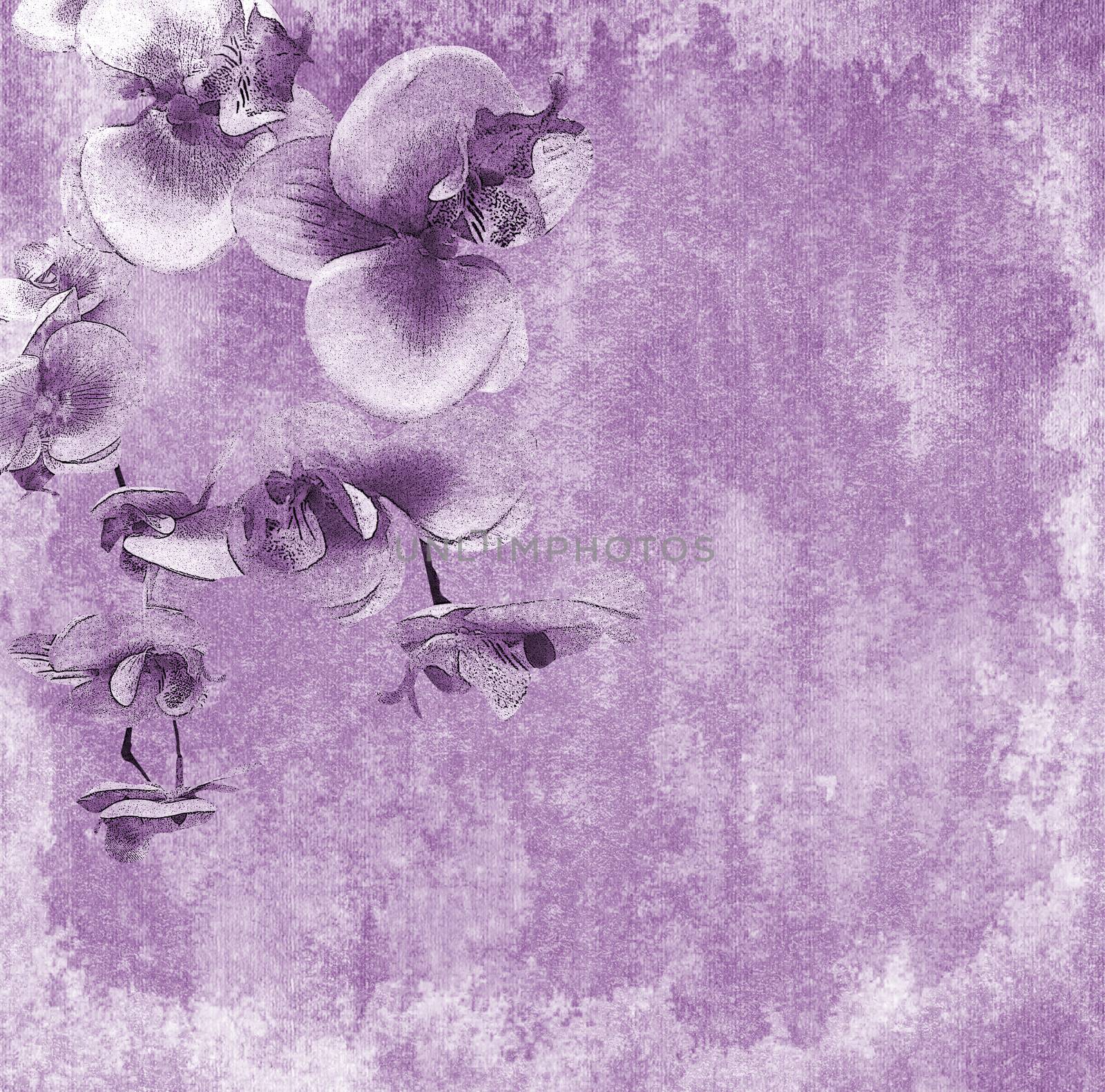 Vintage background with orchid flower