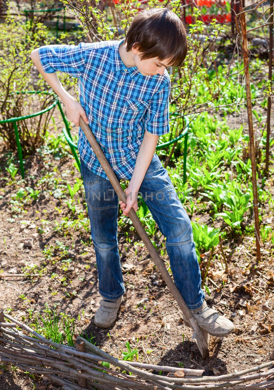 Young boy gardening by naumoid