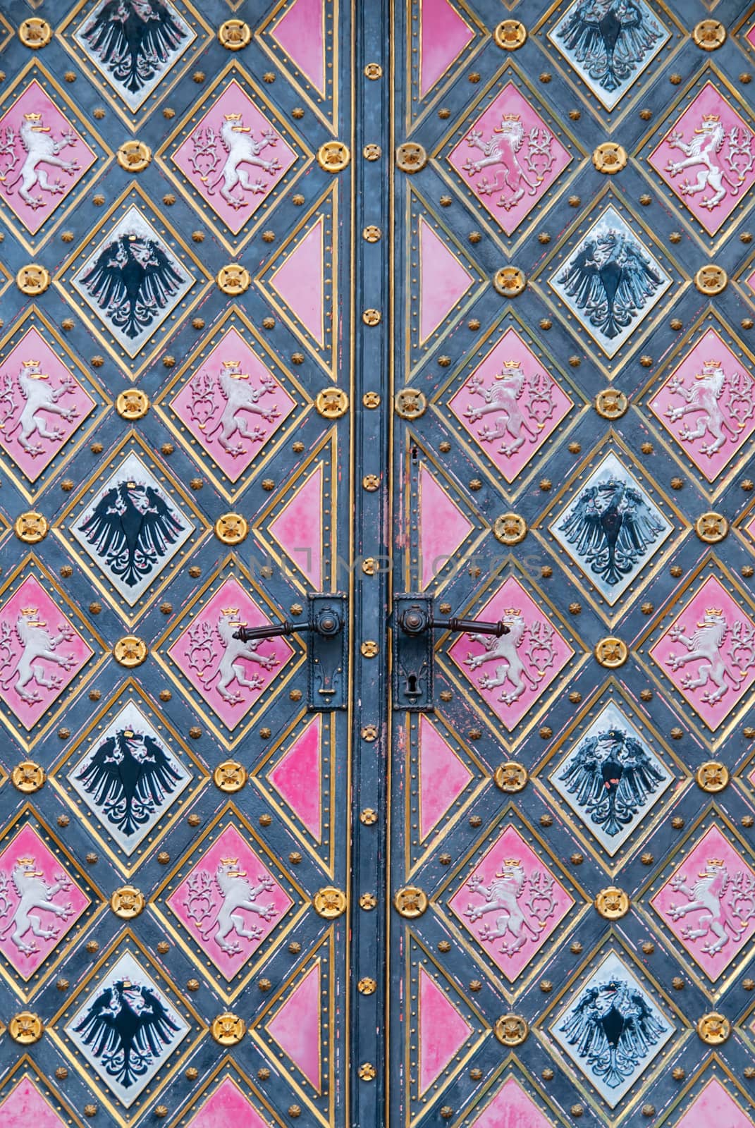 Vintage door. Entrance to the cathedral at Vysehrad, Prague.