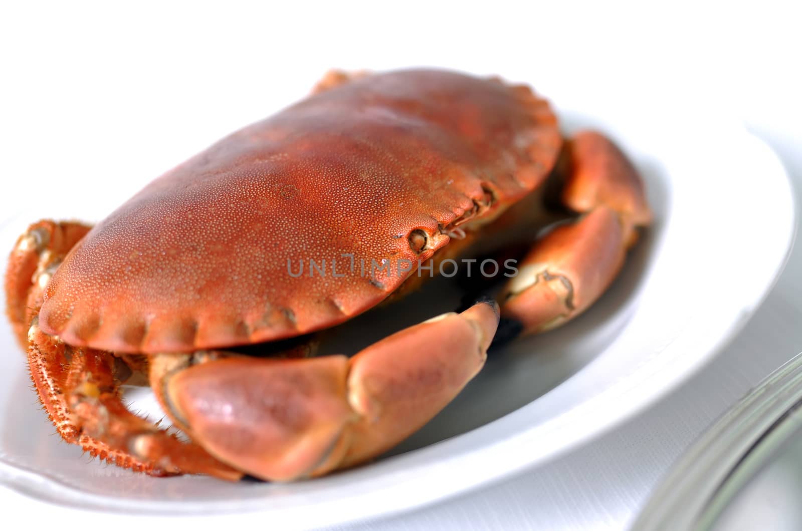 cooked crabs on white plate