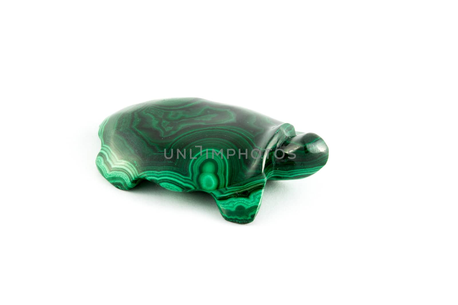 green turtle by Mieszko9