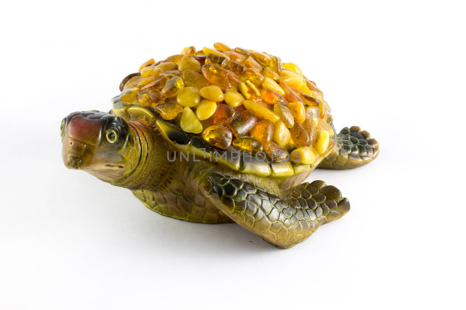 turtle on a white background with amber on the back