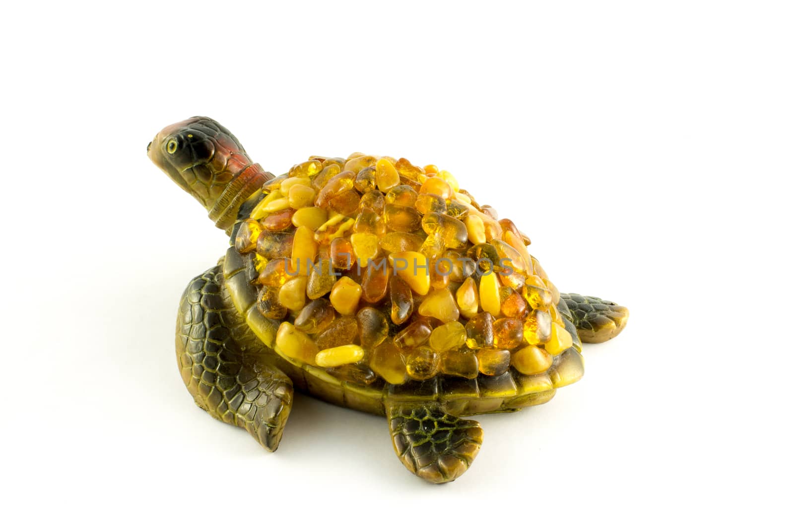 turtle on a white background with amber on the back