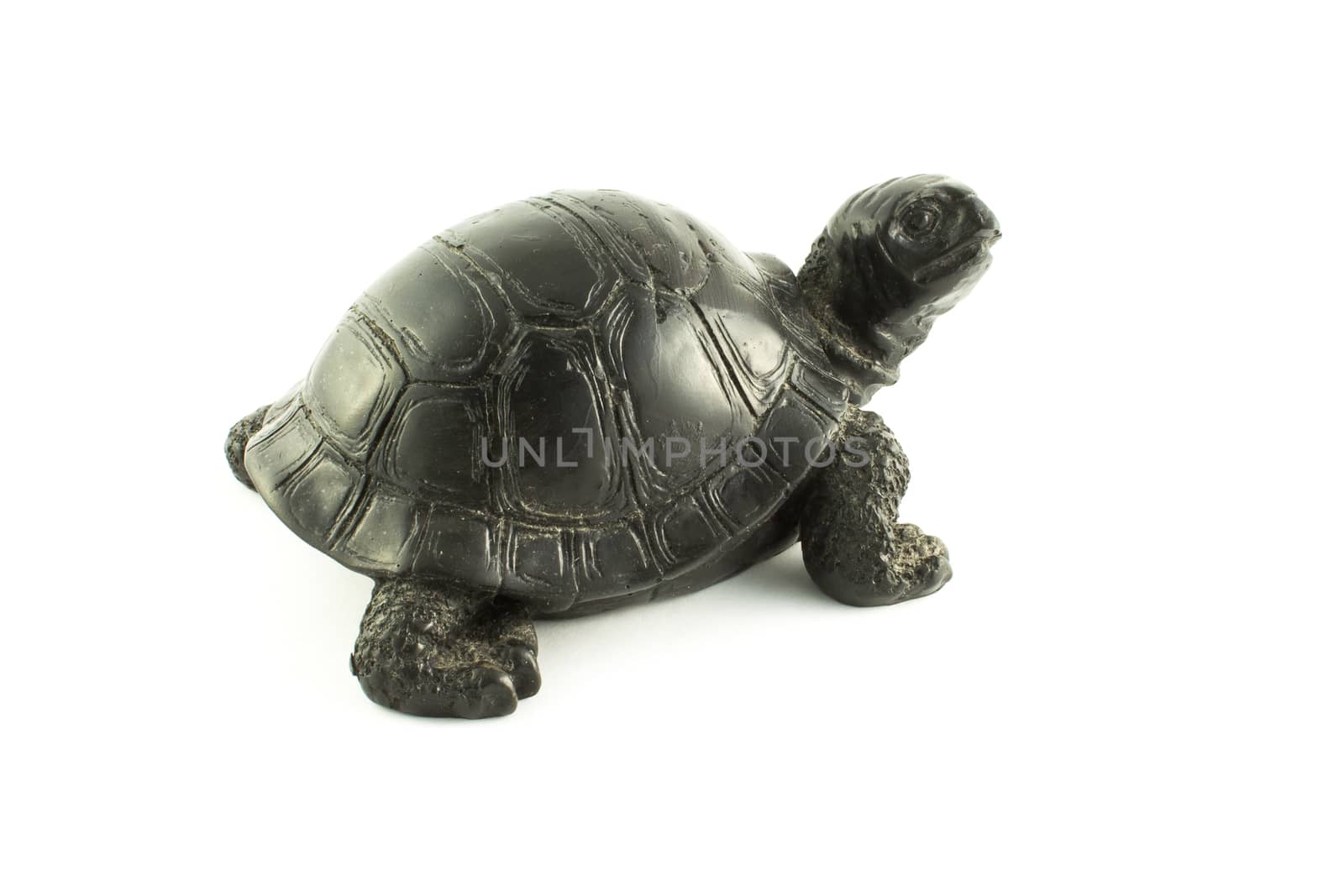 black tortoise souvenir on a white background