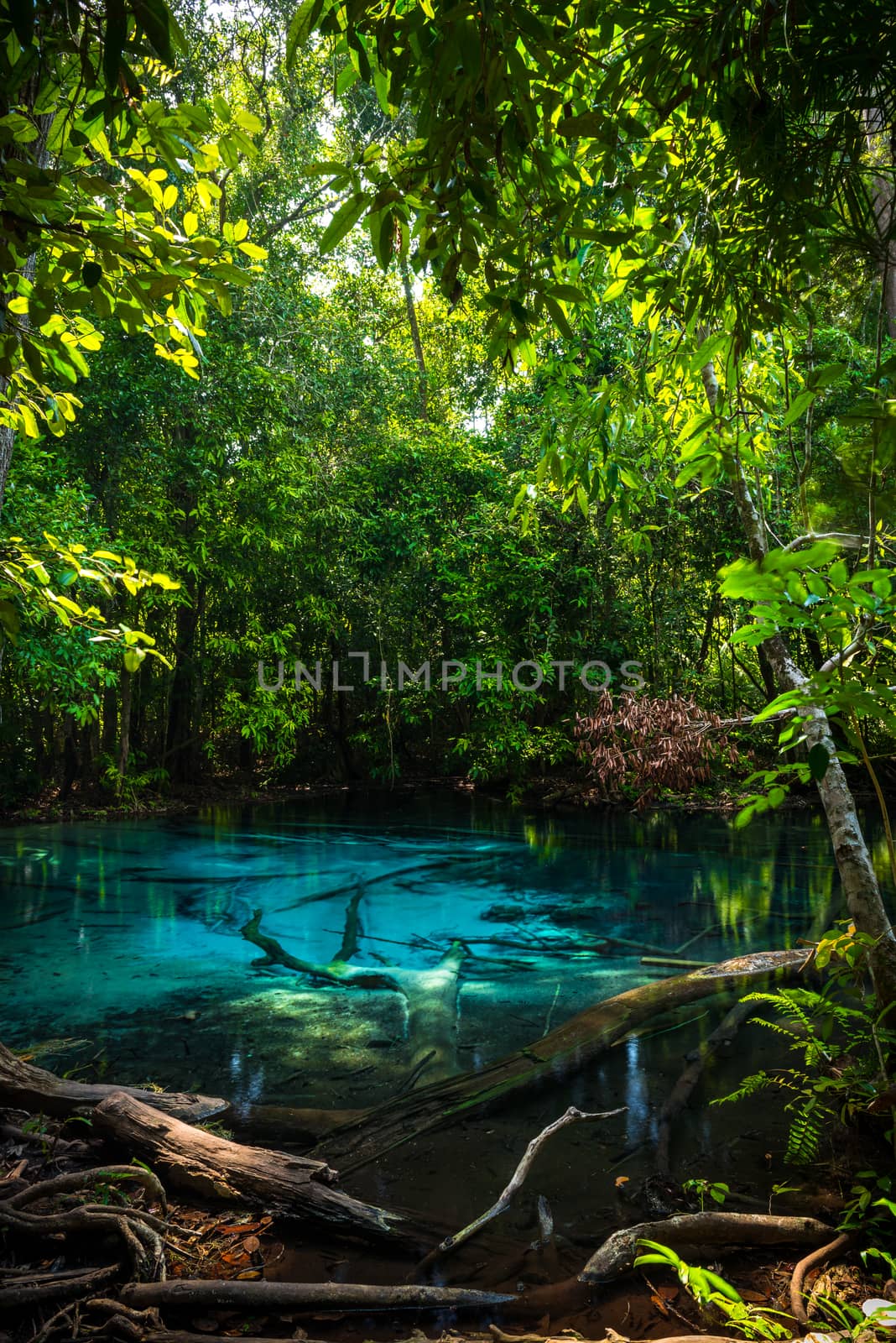 Emerald Pool at Krabi in Thailand