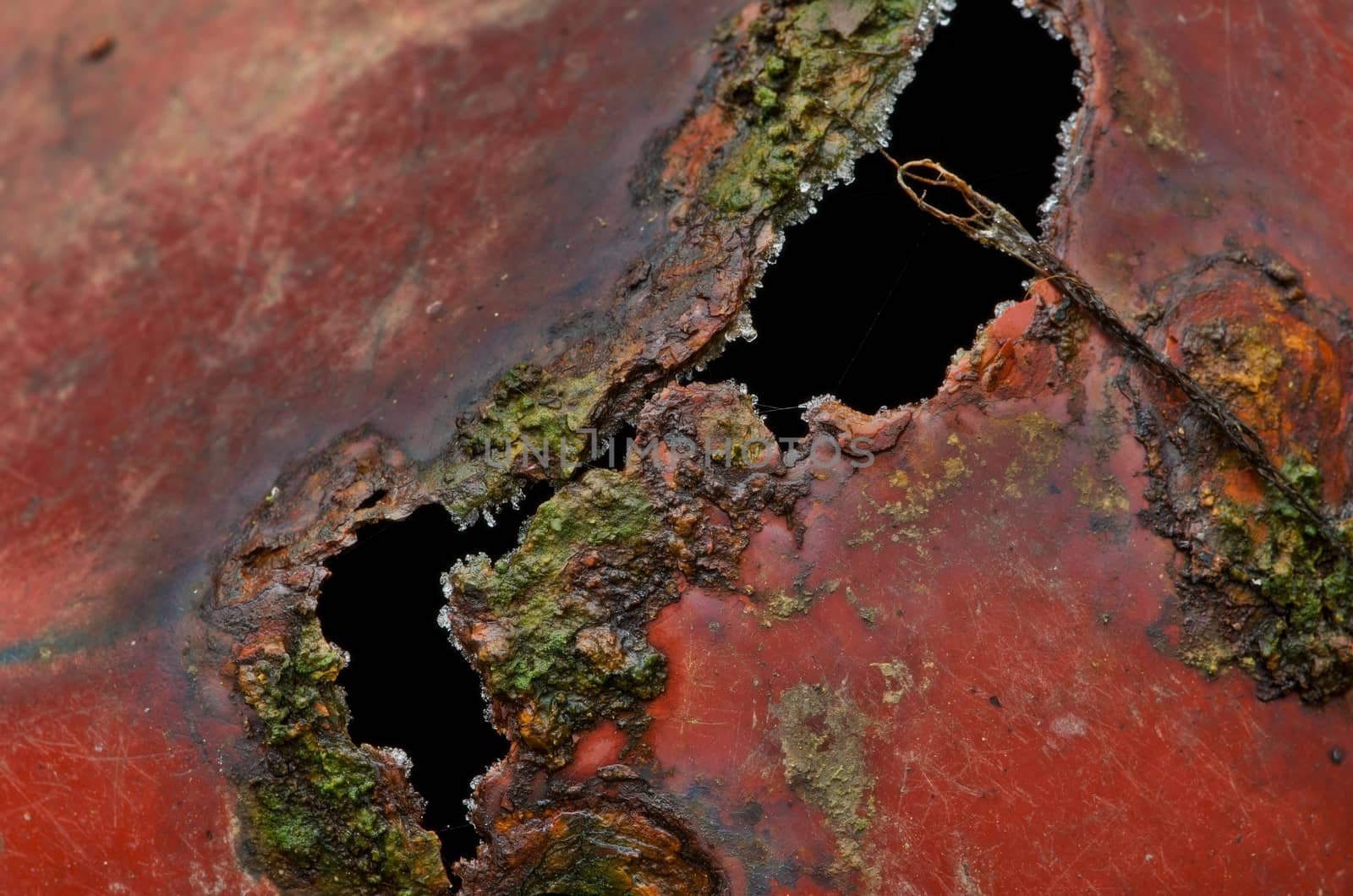 Rusty mossy surface of red iron mug