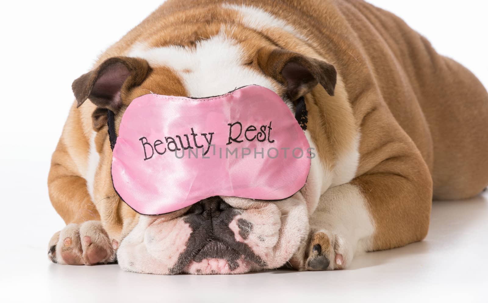 english bulldog wearing beauty rest eye mask sleeping