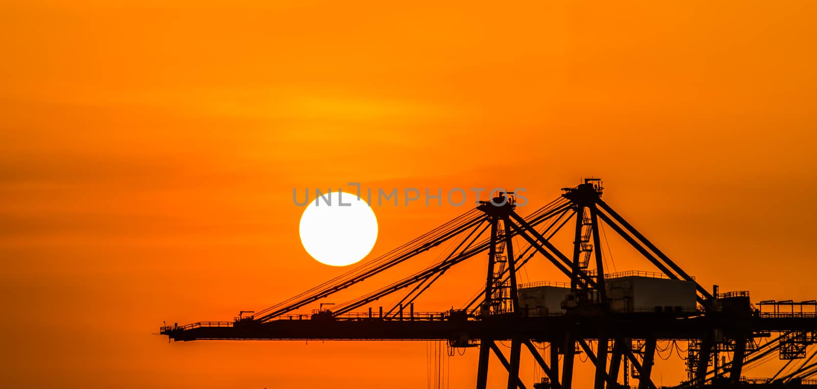 Crane in the industrial port on sunset background