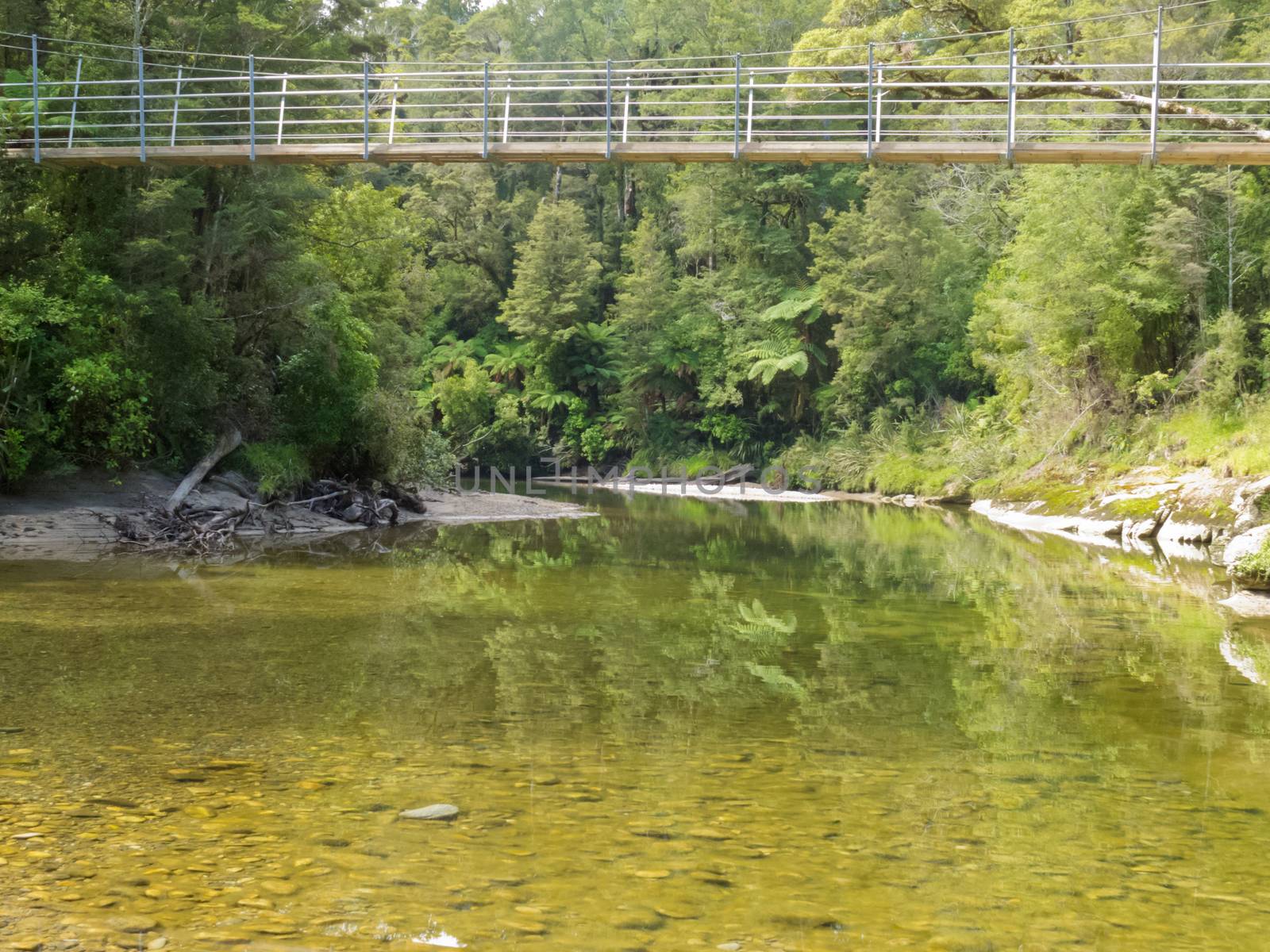 Swing bridge spanning Pororai River, West Coast, South Island, New Zealand, in lush green vegetation of sub-tropical rainforest