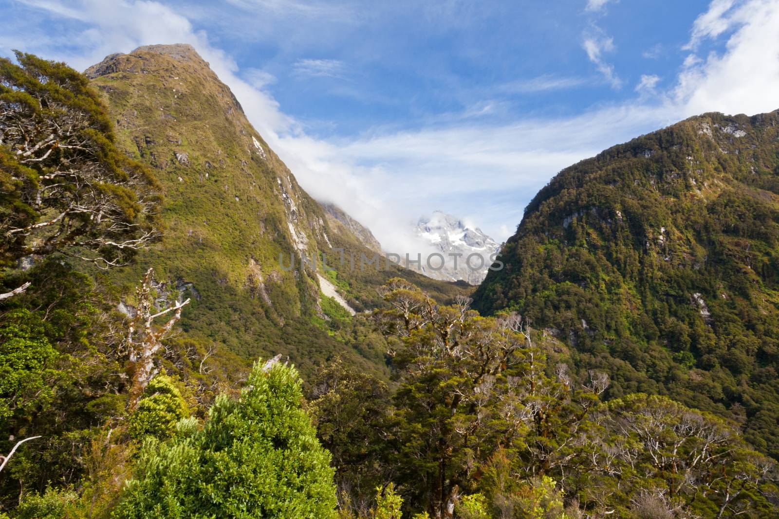 Rugged mountain wilderness in Fiordland National Park, South Island of New Zealand