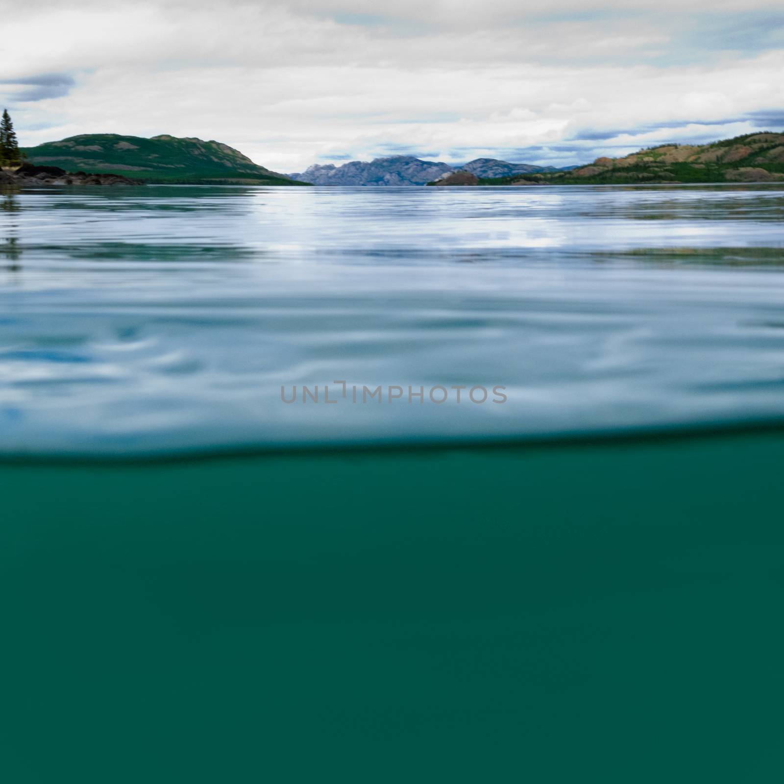 Half underwater half over, over-under split shot of huge Lake Laberge, Yukon Territory, Canada, clear blue freshwater and distant shore boreal forest taiga landscape