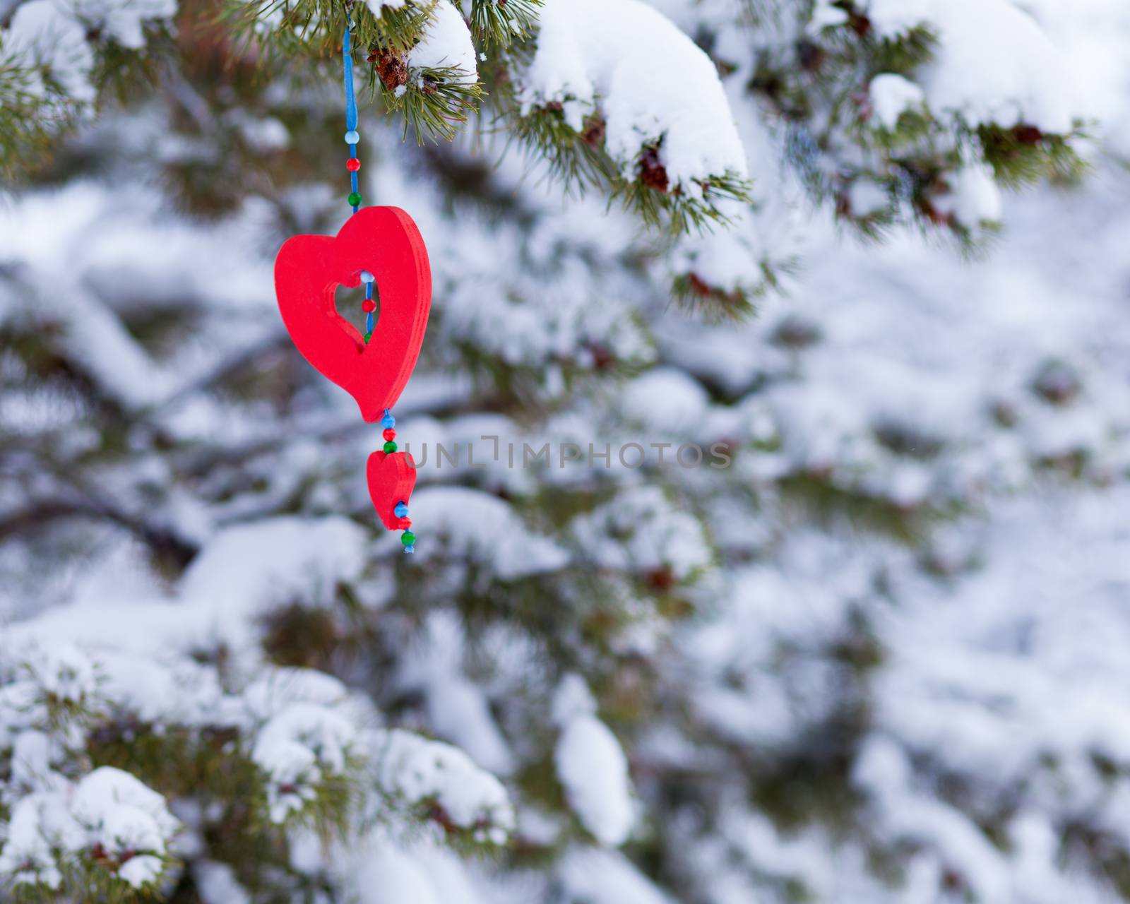 Red heart decor ornament outdoor winter forest by PiLens