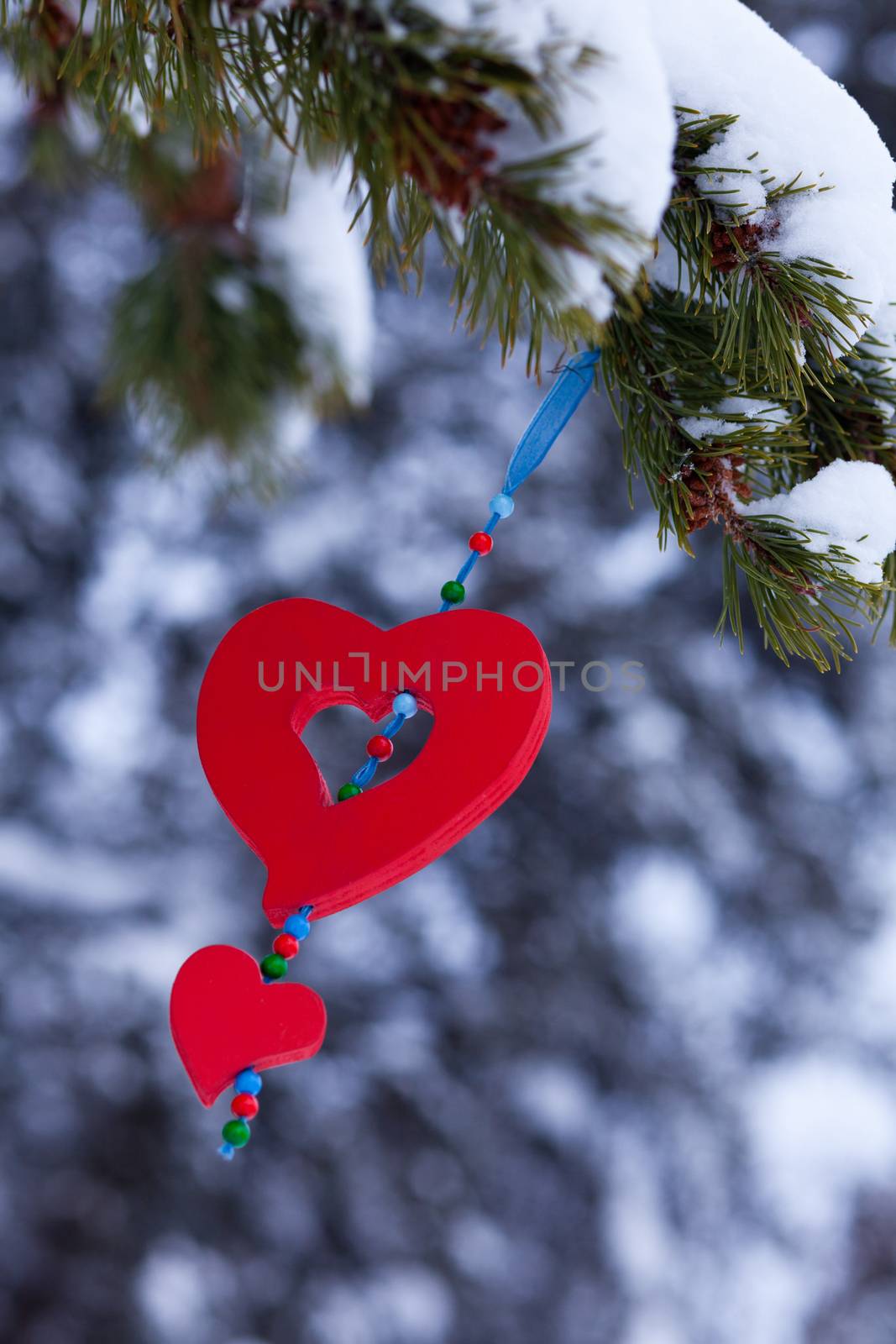 Red heart christmas pine decoration winter forest by PiLens