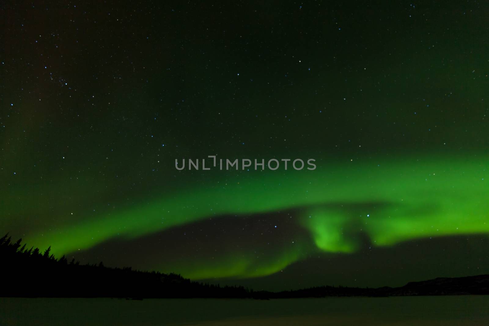 Green sparkling show of Aurora borealis or Northern Lights on night sky winter scene of Lake Laberge, Yukon Territory, Canada