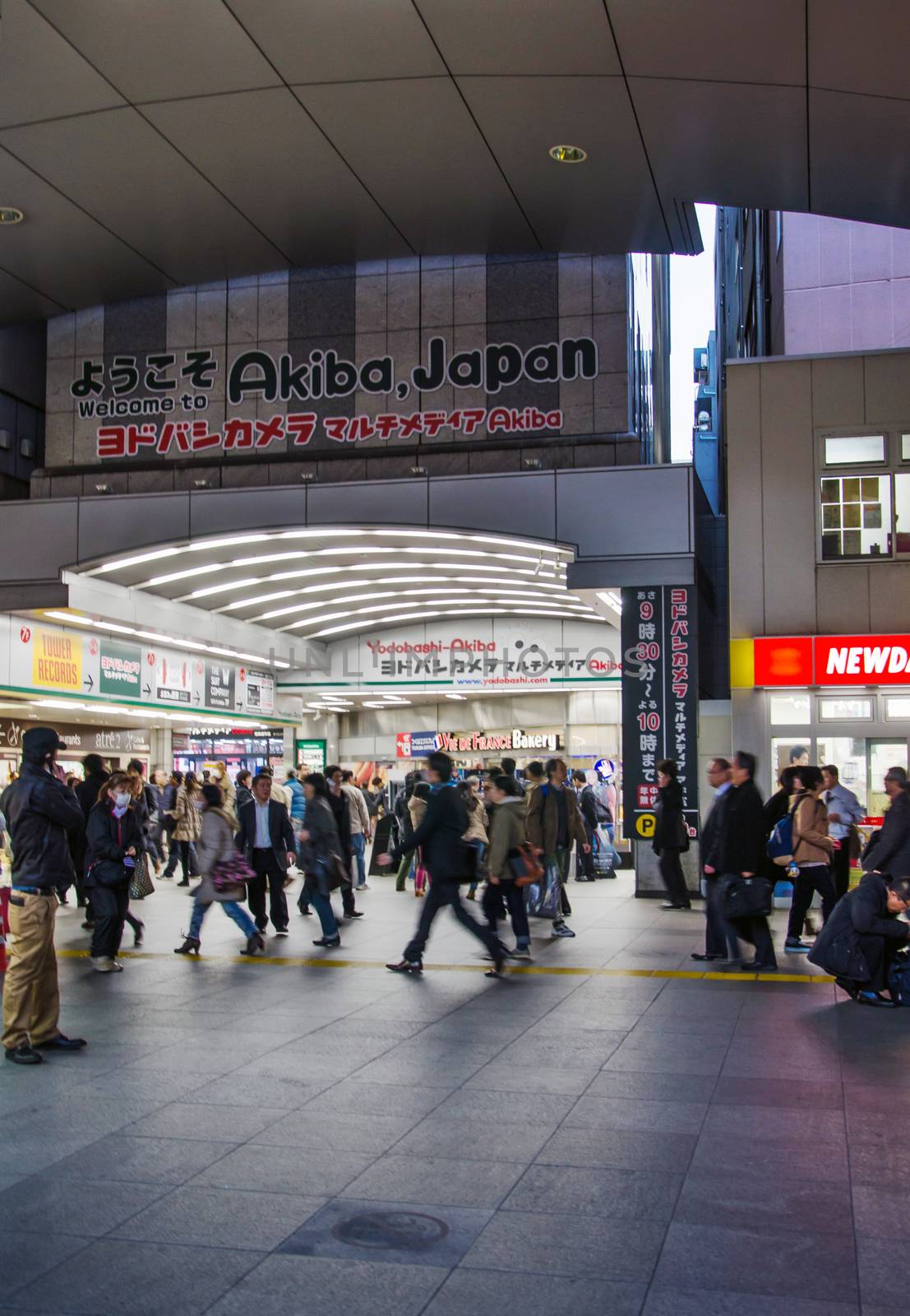 TOKYO - NOV 21: Akihabara district in Tokyo, Japan by siraanamwong