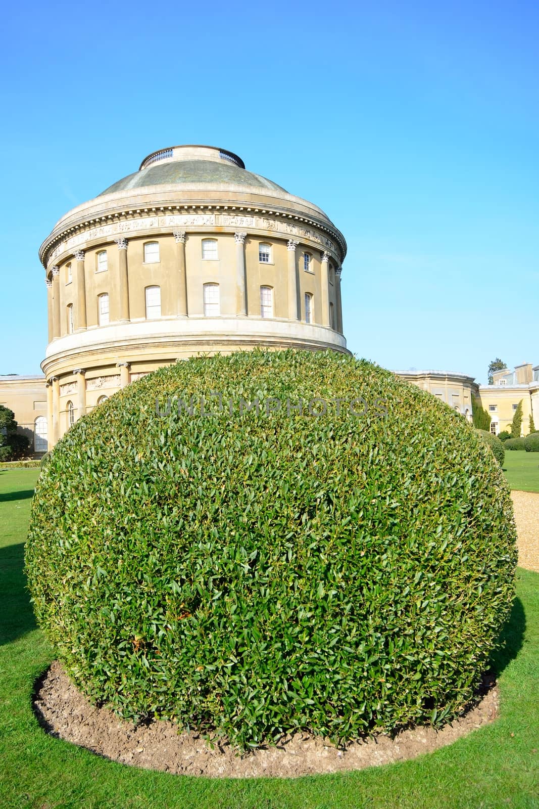 Rotunda with trimmed hedge