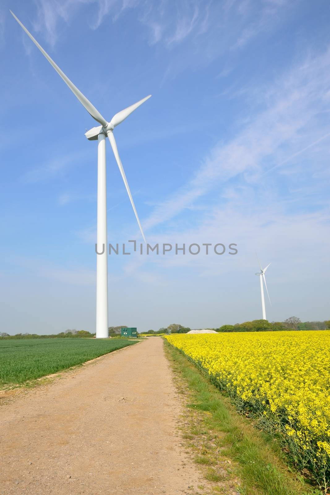 Wind farm turbines in field