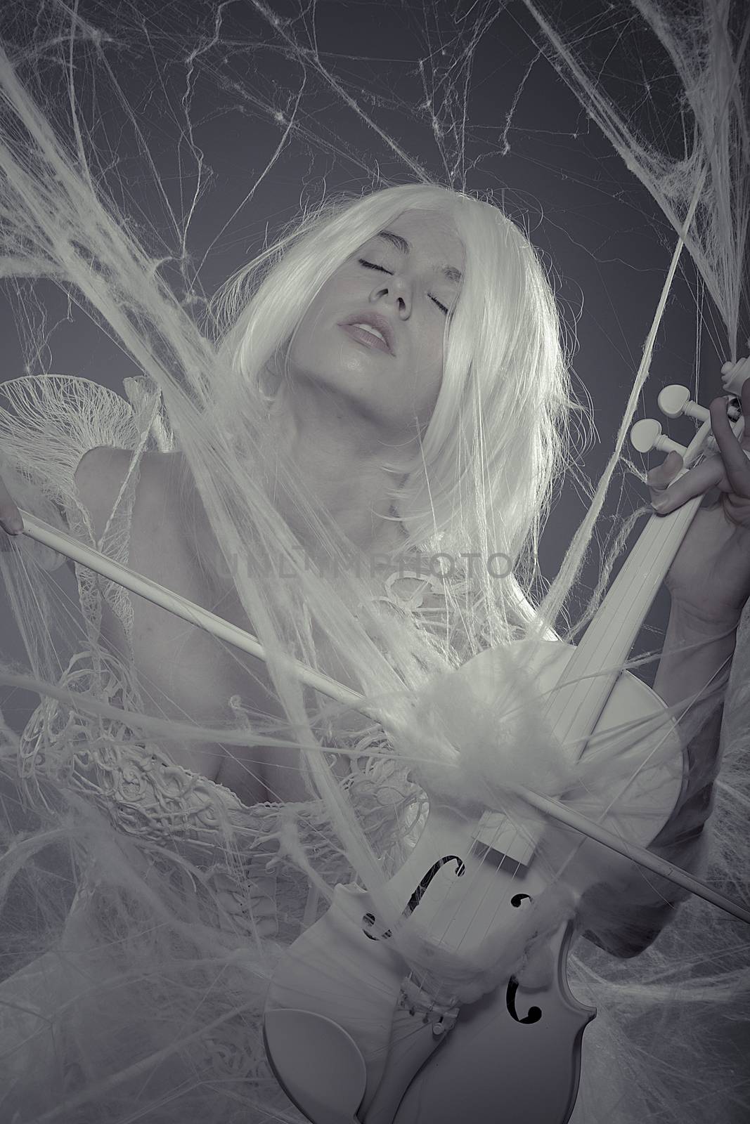 Style beautiful woman trapped in a spider web with a white violin, lace dress