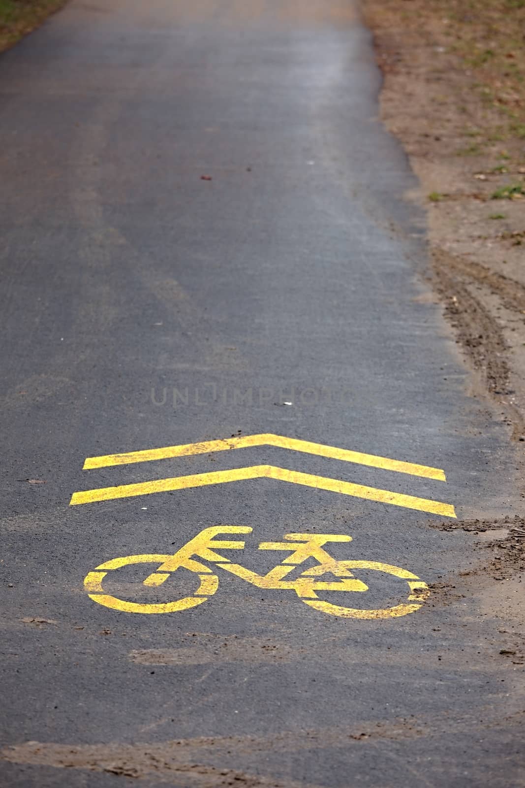 Bicycle lane sign on asphalt surface