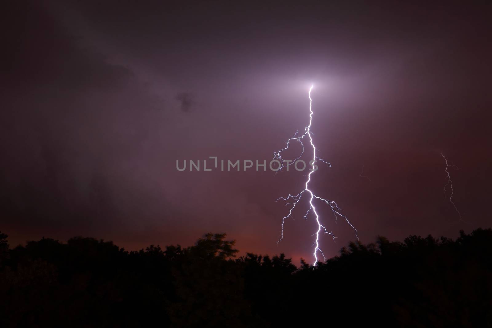 Lightning strikes from the evening sky