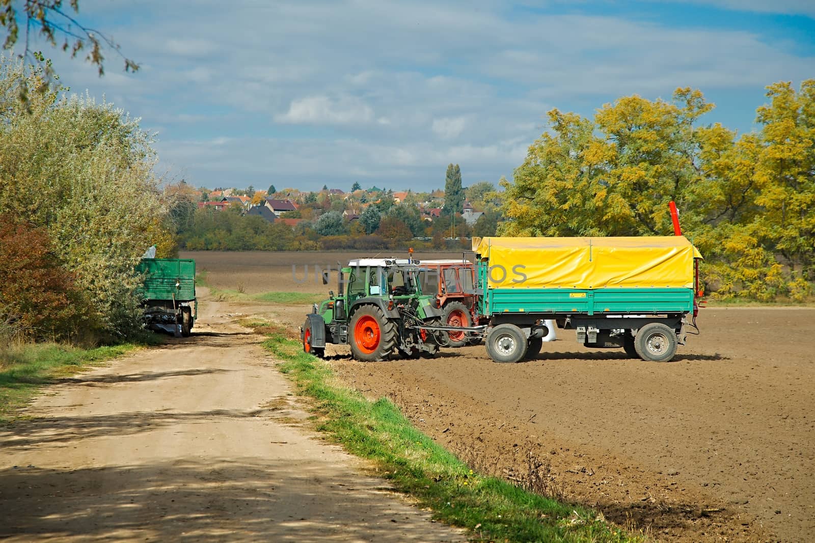 Tractor on the agricultural fields