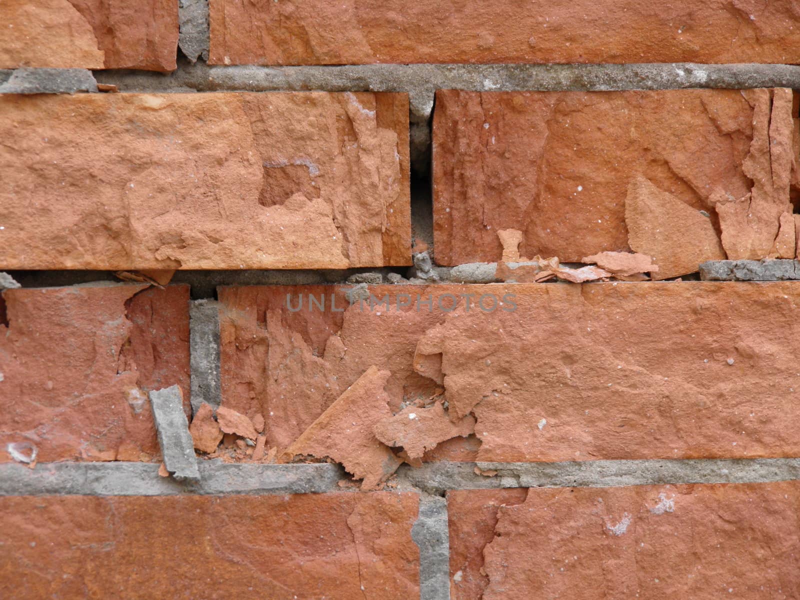 Flemish bond brick wall by paolo77