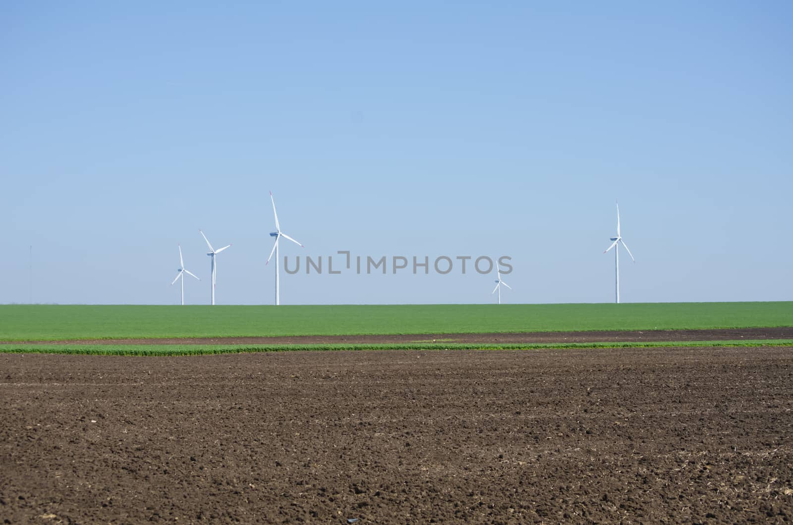 Nature Lines: Spring Field Landscape