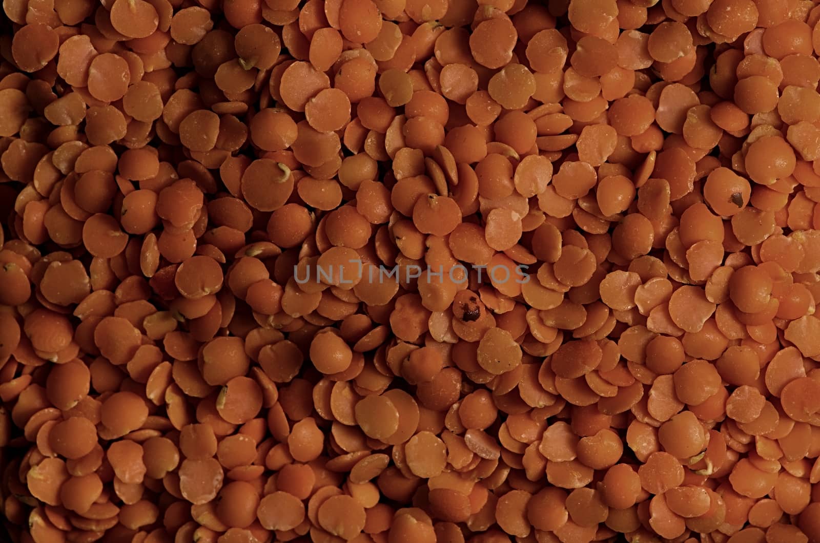 Orange lentils in side light, pattern background