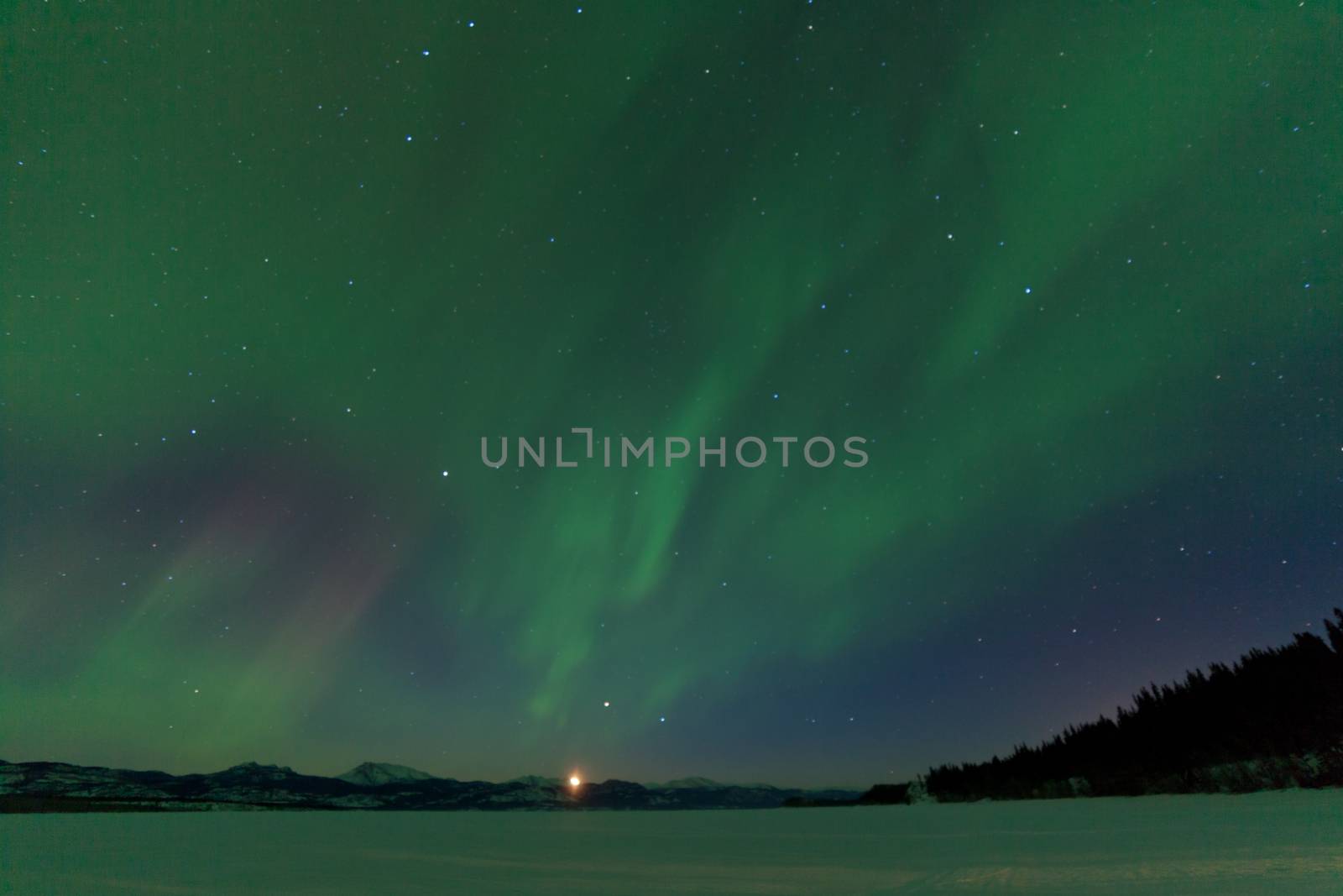 Aurora borealis dance moonrise Lake Laberge Yukon by PiLens