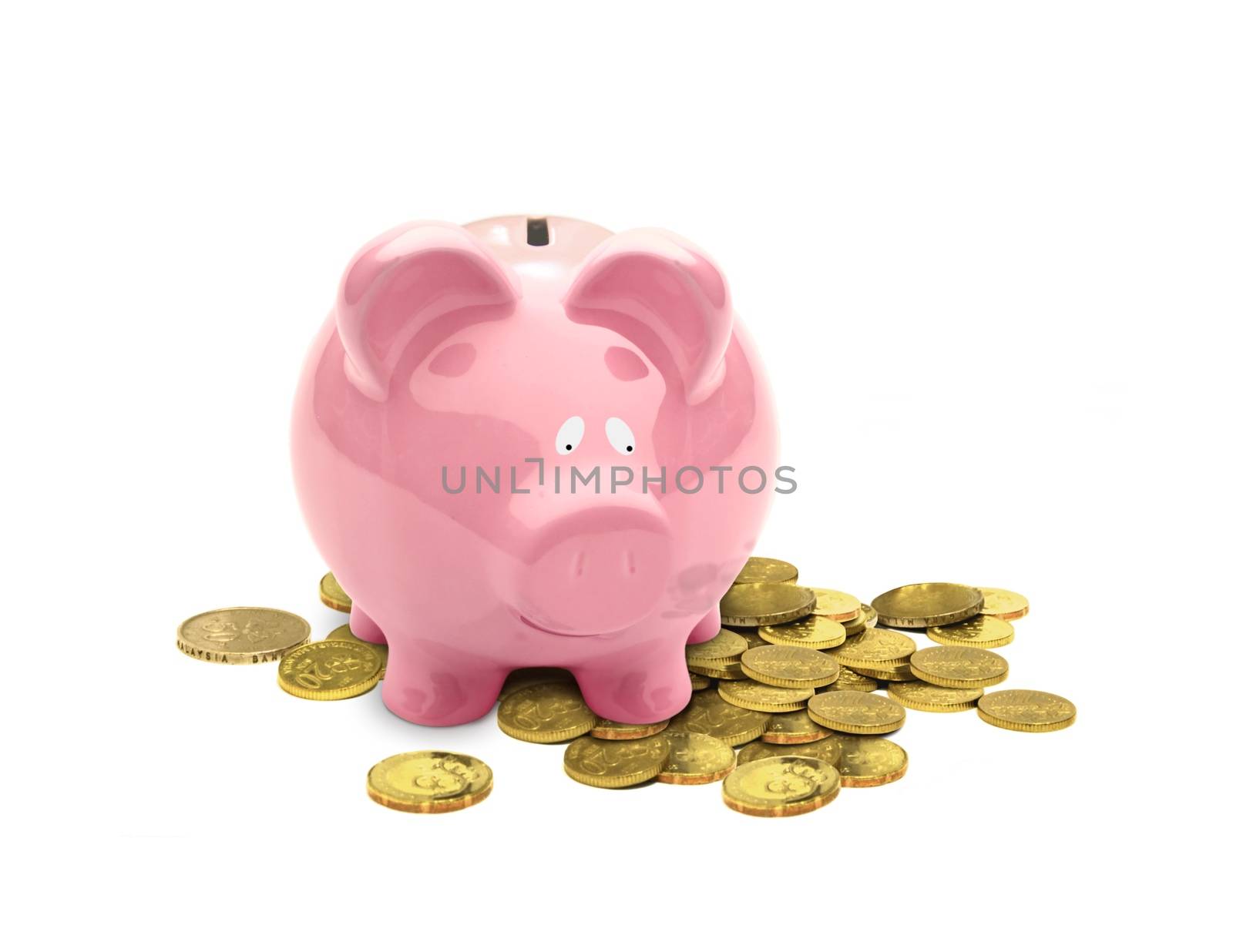 Piggy Bank Looking at Coins