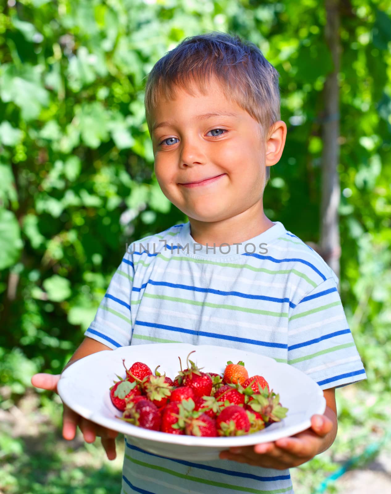 Happy little toddler boy in summer garden with plate of ripe fresh strawberries