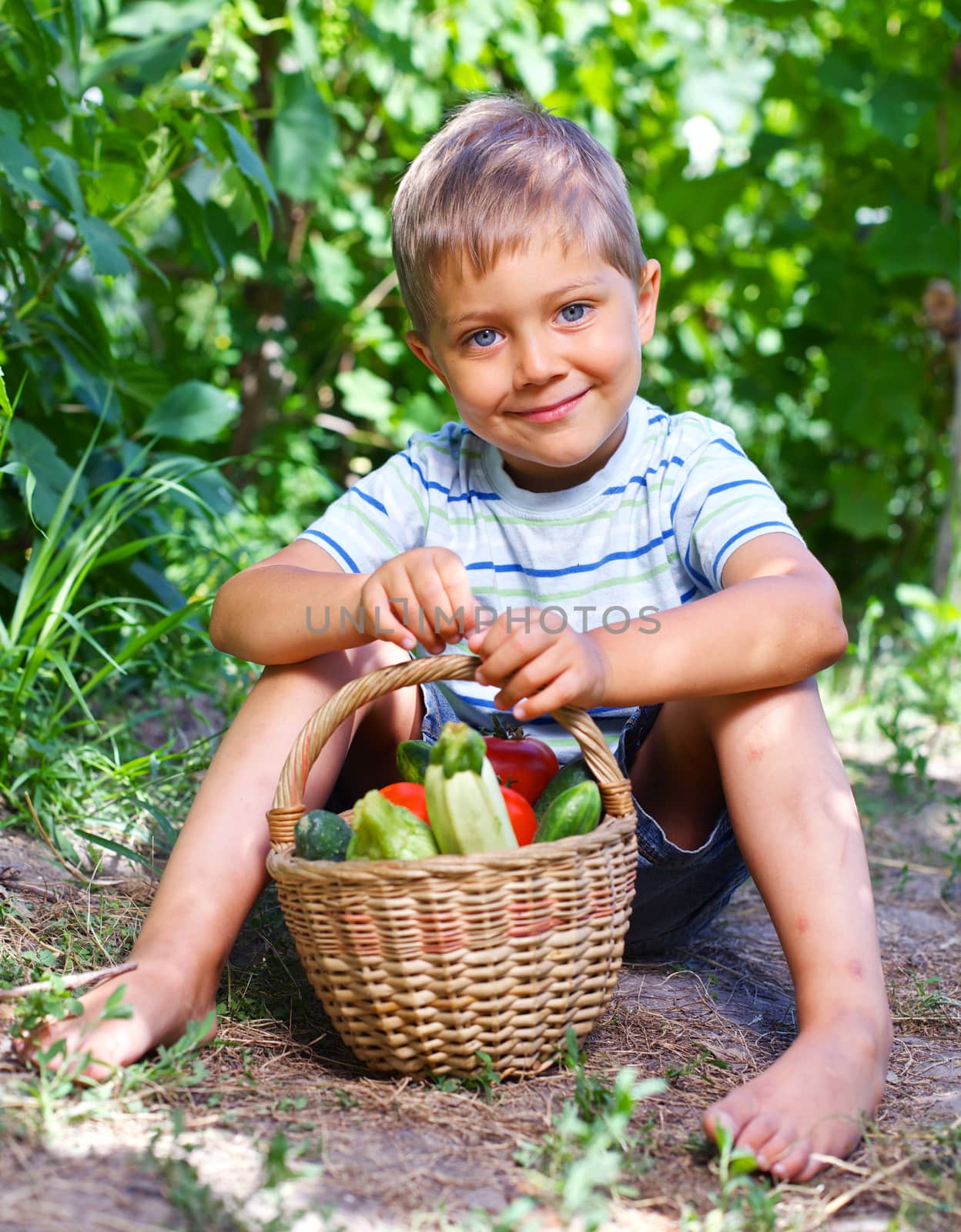 Little boy with basket of vegetables in summer garden