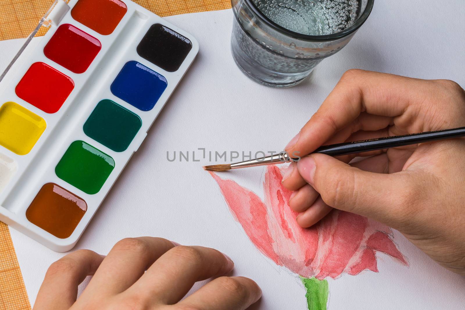 The artist paints a flower of watercolor on white paper