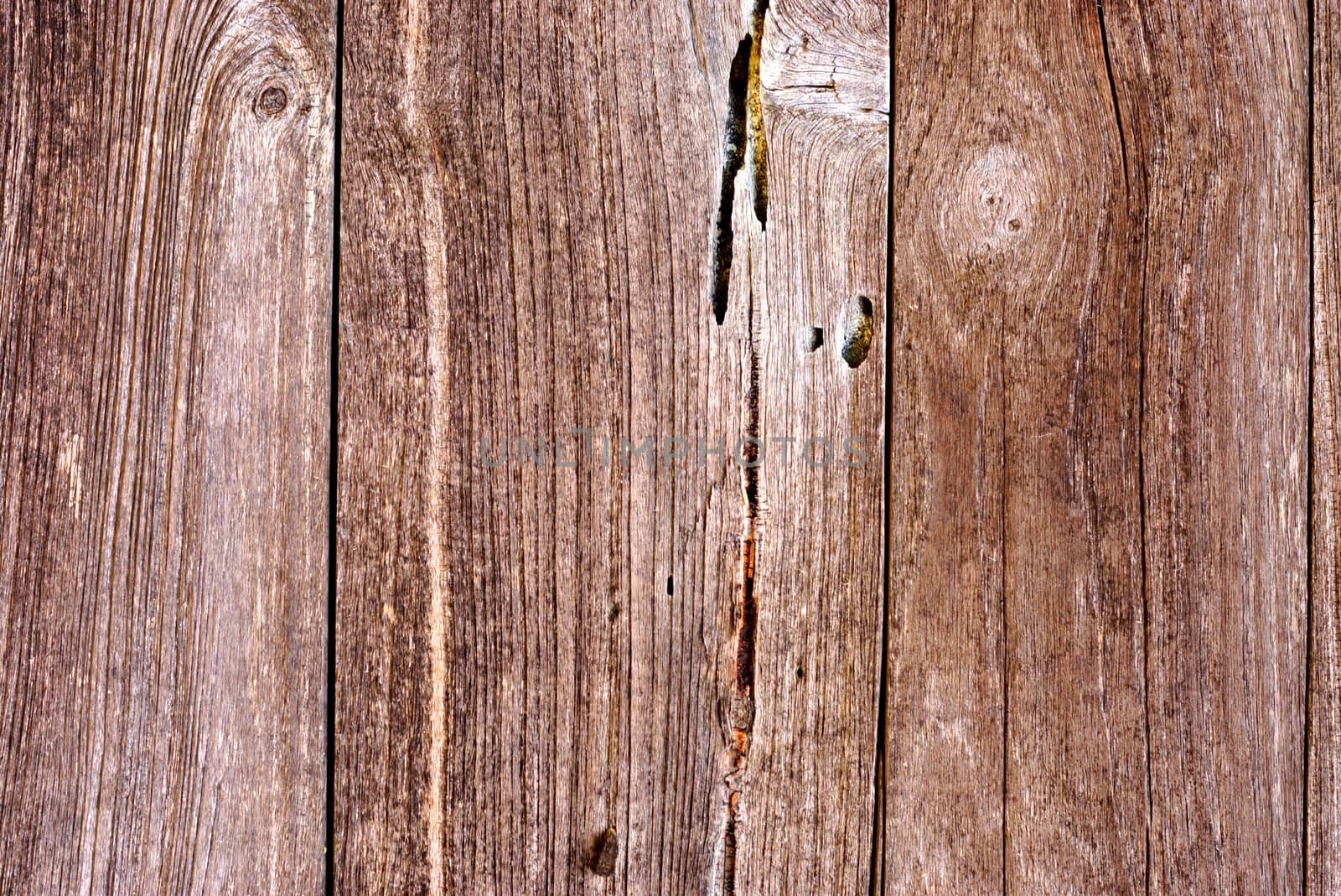 wood texture by nattapatt