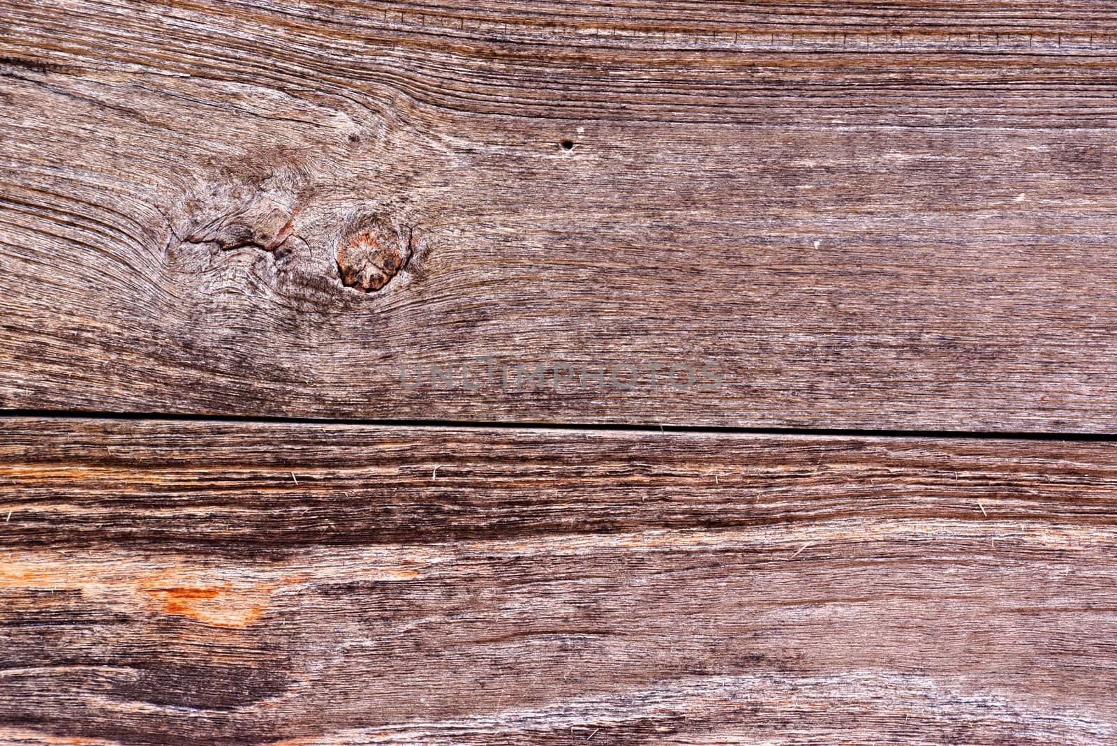 detail of natural wood texture,shallow focus