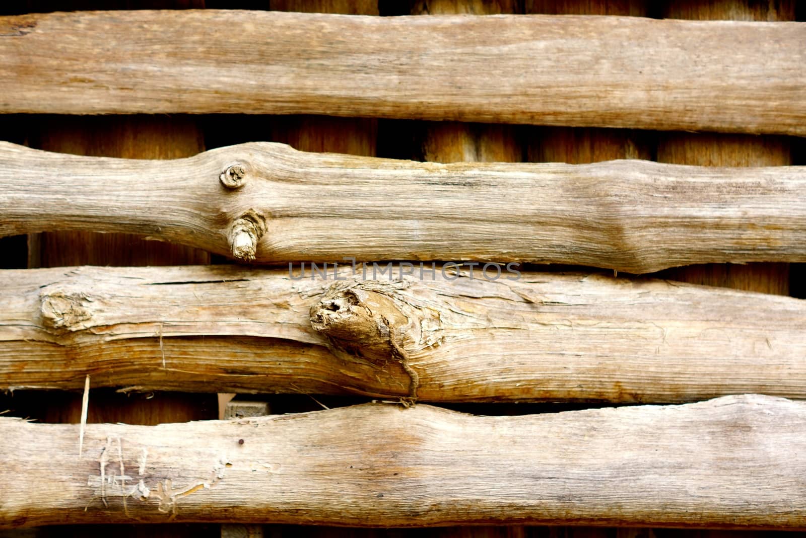 detail of natural wood texture,shallow focus