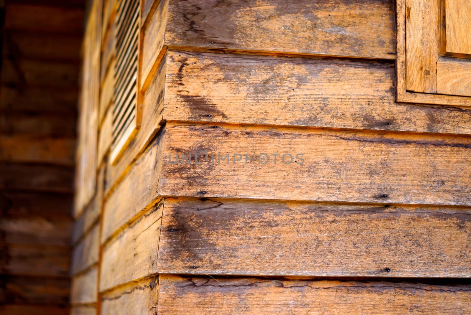 detail of natural wood texture,shallow focus