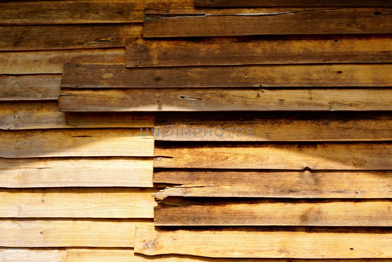 detail of natural wood texture,shallow focus