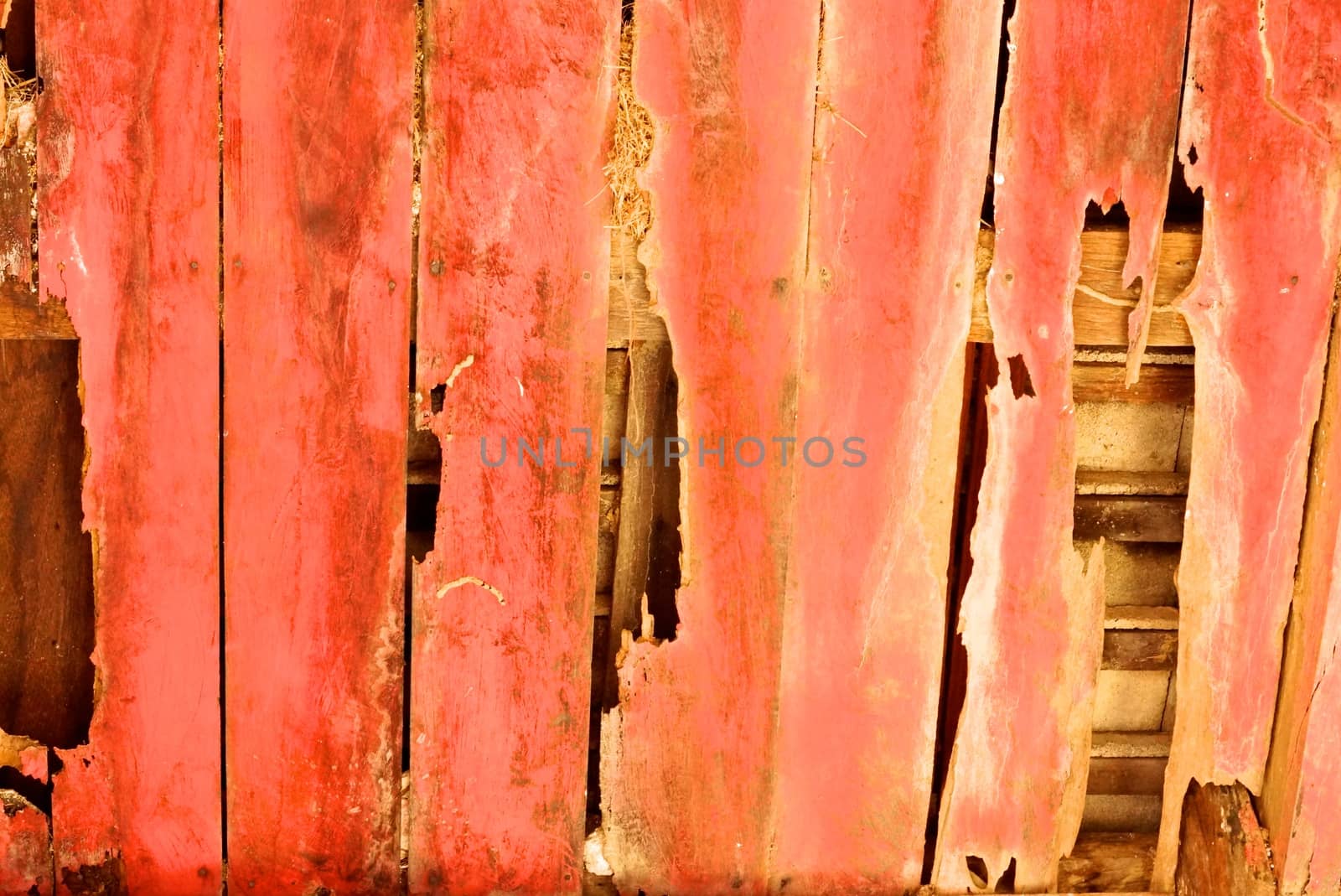 detail of natural wood texture,shallow focus