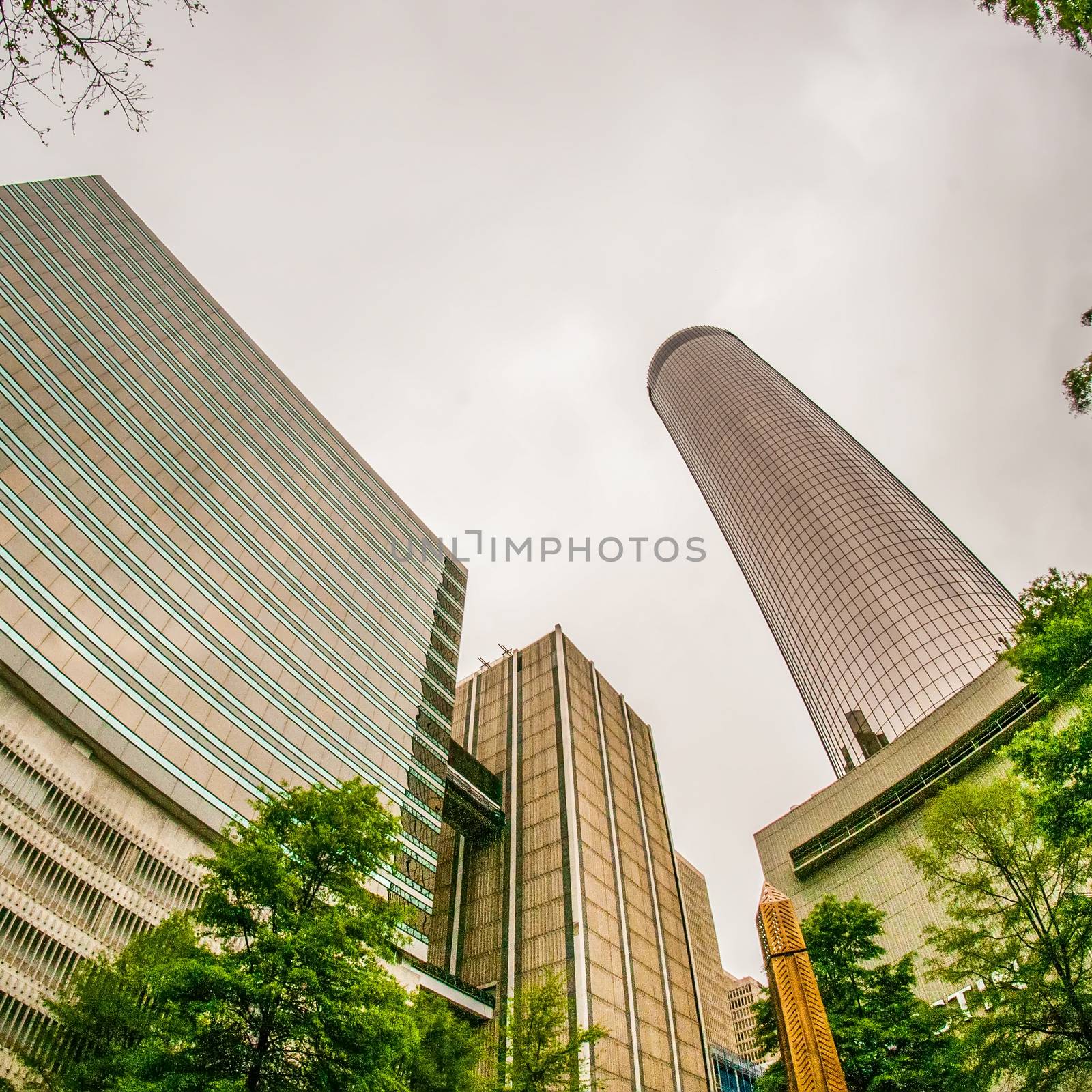 Downtown Atlanta, Georgia USA skyline by digidreamgrafix