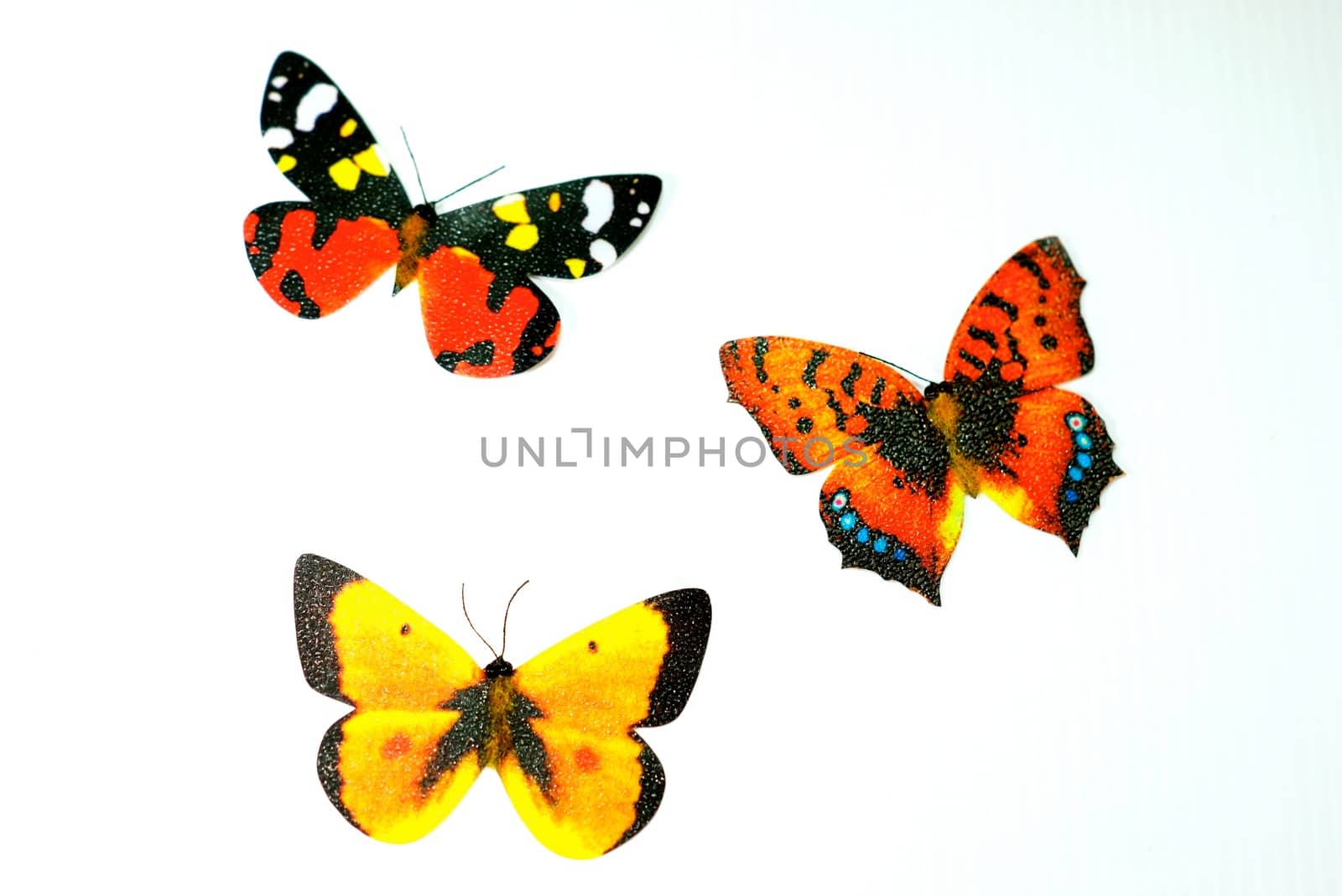 butterfly model on white scene that made from paper cutting and painting handcraft for decoration,shallow focus
