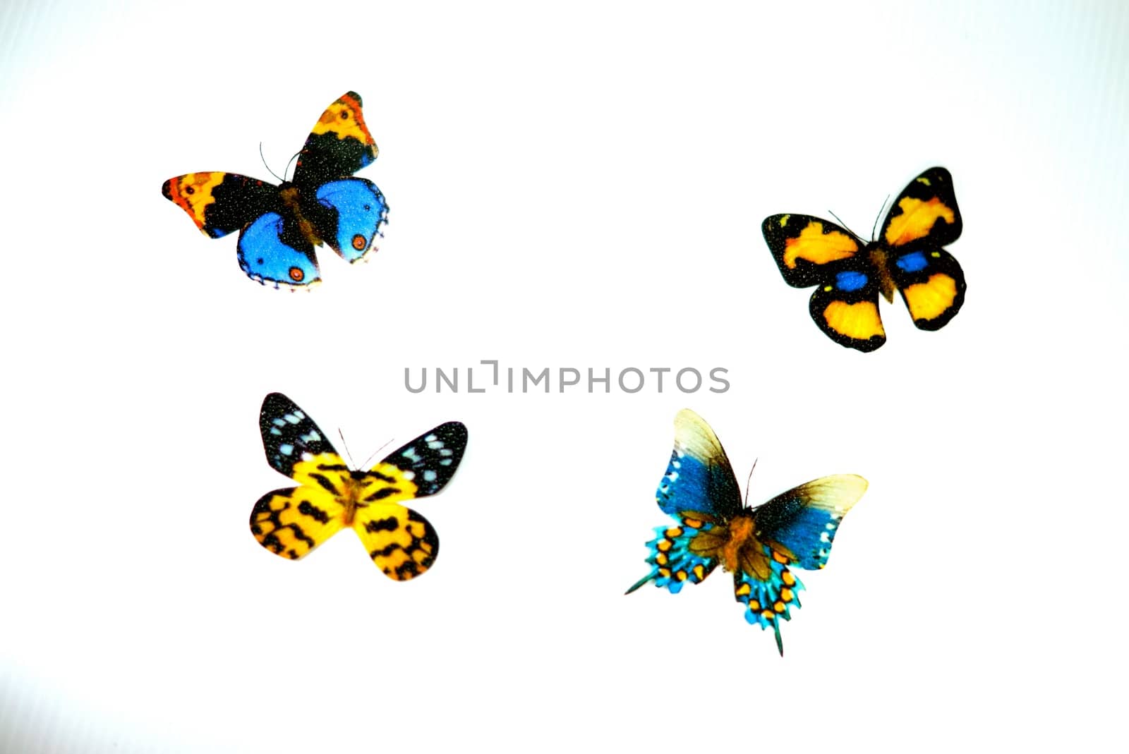 butterfly model on white scene that made from paper cutting and painting handcraft for decoration,shallow focus
