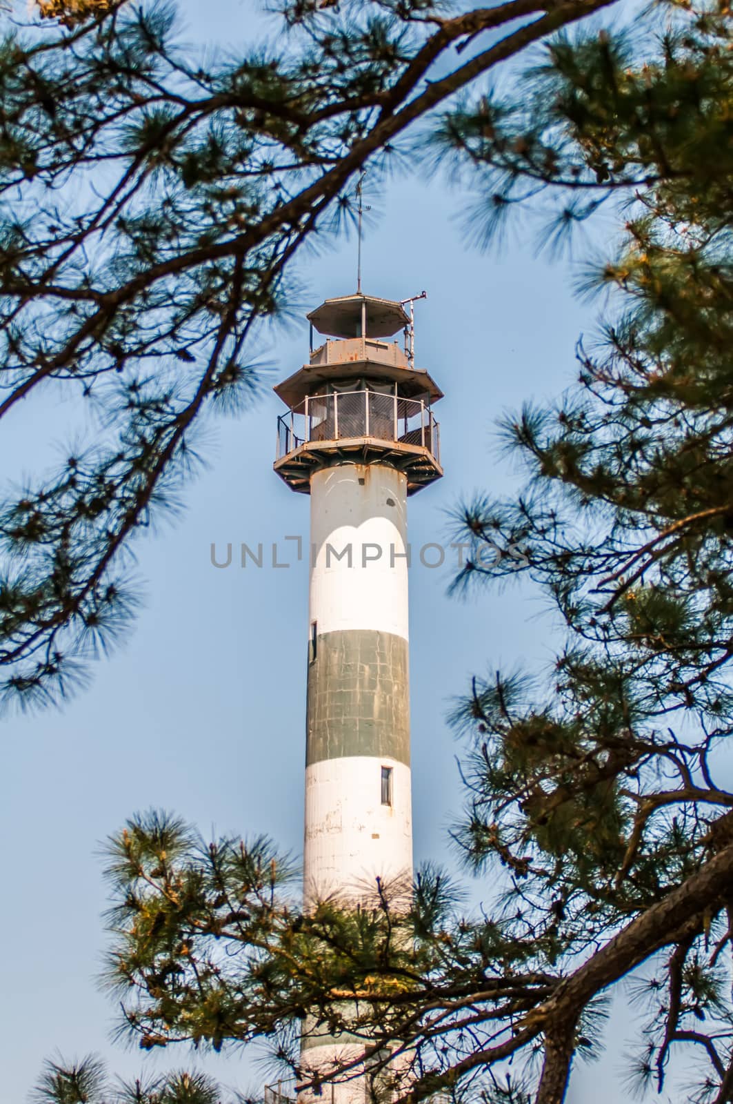 lake mattamuskeet lighthouse north carolina by digidreamgrafix